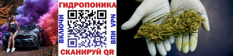 Виды наркотиков купить Гатчина Гашиш  АМФ  Экстази  Cocaine  A PVP  Мефедрон 
