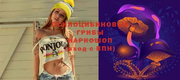 spice Бугульма