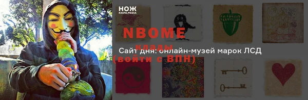 прущие грибы Богородицк