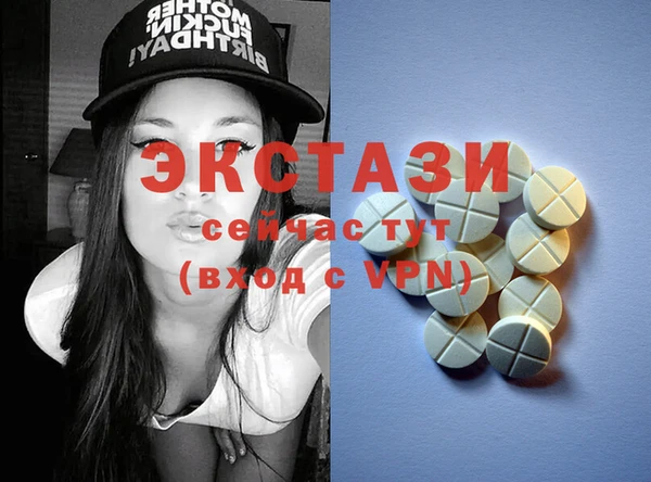 ECSTASY Бородино