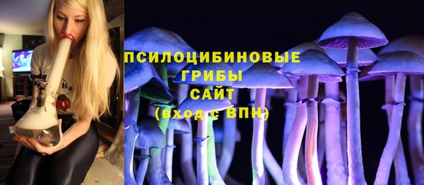прущие грибы Богородицк
