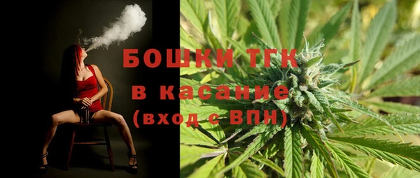 гашик Богородск