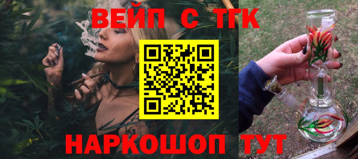 МЕФ Гатчина