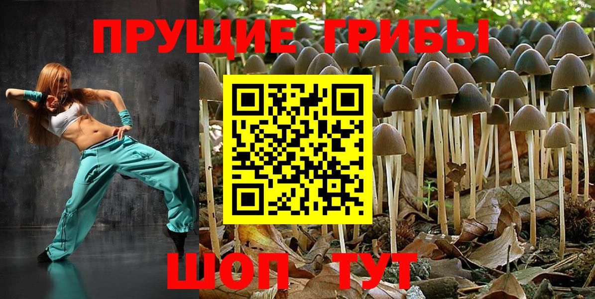 закладки  Псилоцибиновые грибы прущие грибы  Гатчина  Галлюциногенные грибы мицелий 