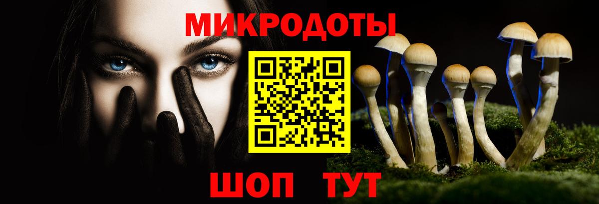 Гатчина  Псилоцибиновые грибы MAGIC MUSHROOMS  Вход с VPN  купить   Псилоцибиновые грибы Cubensis 